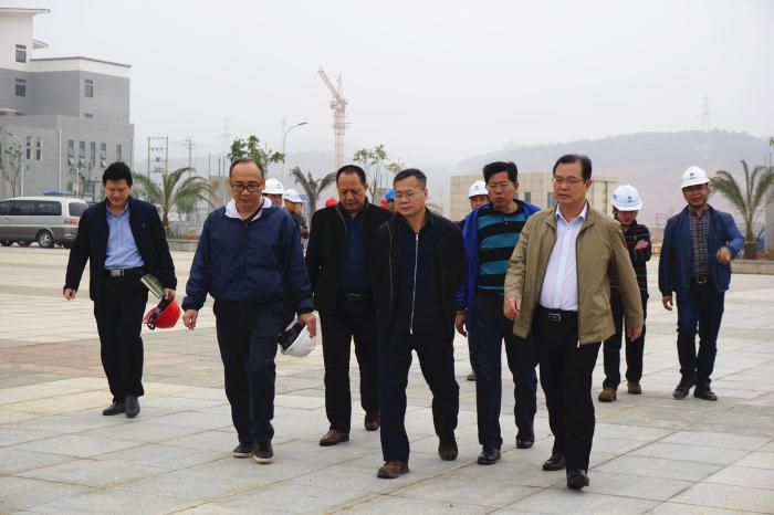 5.吴锡熹一行在项目落成区进行实地观察。谢微旋 摄700.jpg