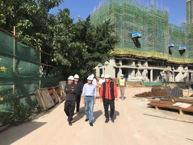 查抄工地现场；莆氖 摄（建图）.jpg