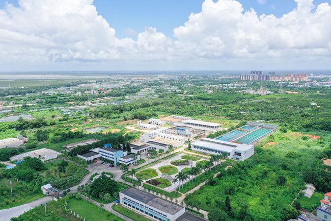 1684465342131513.jpg 项目航拍(建图).jpg